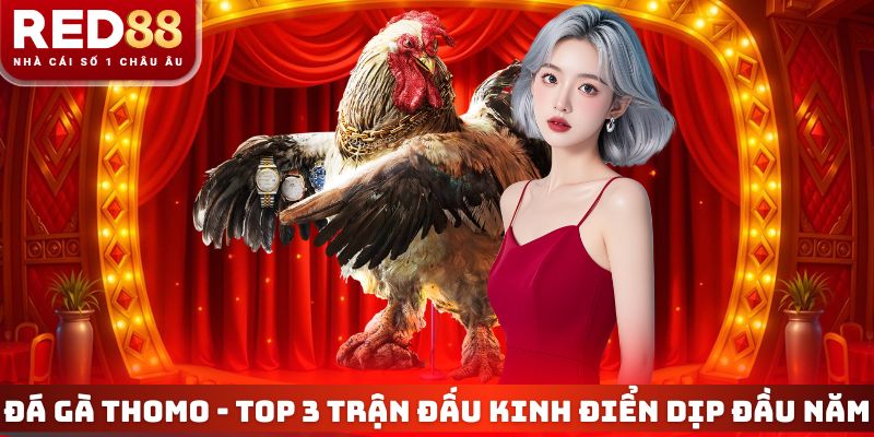 Đá Gà Thomo - Top 3 Trận Đấu Kinh Điển Nhất Dịp Đầu Năm 4 Đá Gà Thomo
