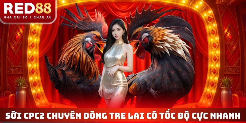 Sới CPC2 chuyên dòng tre lai có tốc độ cực nhanh