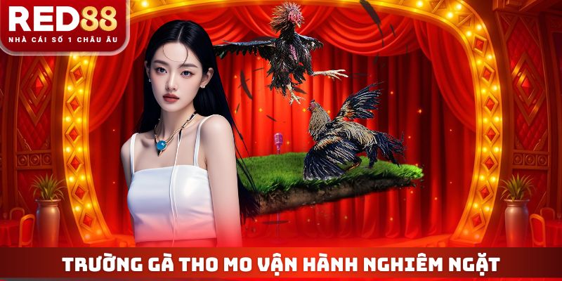 Trường gà tho mo vận hành theo chuẩn nghiêm ngặt