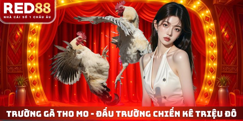 Trường Gà Tho Mo - Đấu Trường Chiến Kê Triệu Đô Top 1 Châu Á 2 Trường Gà Tho Mo